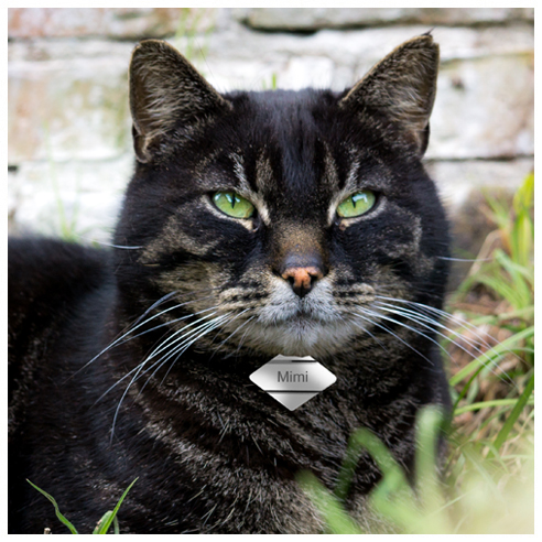 Tieranhänger für Hund & Katze